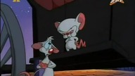 Pinky i M&oacute;zg S01E10 - W 80 narf&oacute;w dookoła świata