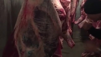 Szpilka walczy z mięsem