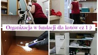 Organizacja w fundacji dla kotów cz 1  Uporządkowana