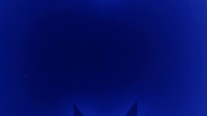 Śródziemnomorska sielanka 1991 lektor pl