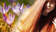 10 WŁOSOWYCH POMYSŁÓW NA WIOSNĘ