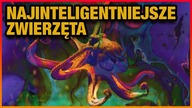 10 NAJINTELIGENTNIEJSZYCH ZWIERZAT
