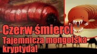Czy mongolski czerw śmierci z pustyni Gobi może istnieć naprawdę?