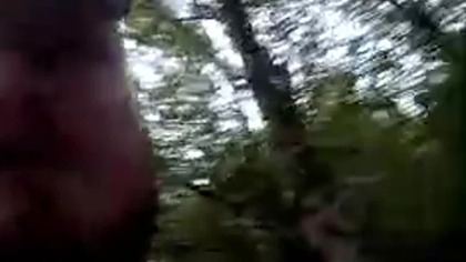 Wieczorny Pies Rubik! Spokojny wieczorny spacer po lesie pod Koszalinem! Q&A z Sarmatą! Wędrówka!