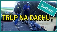 TRUP NA DACHU || Suchary#26