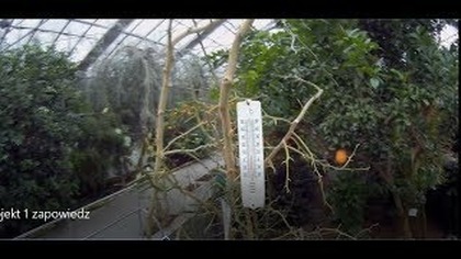 Zapowiedź odcinka nr 555 .  Ogród botaniczny, szklarnie Powsin 2019r