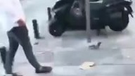 karma za straszenie gołębia