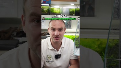 Aqua Paludarium 30 vs 60 cm Wymiary i Porównanie