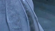 #toothless #shorts #httyd #httyd2#nightfury#httyd3 #toothless10 #lightfury #toothless #fyp