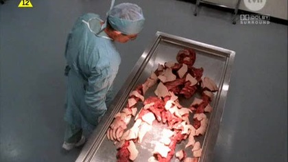 Agenci NCIS - Navy. NCIS. S02E13.pl