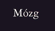 M&Oacute;ZG - Jak zrobić m&oacute;zg do filmu