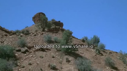 . Nieslusznie oskarzeni. 1965