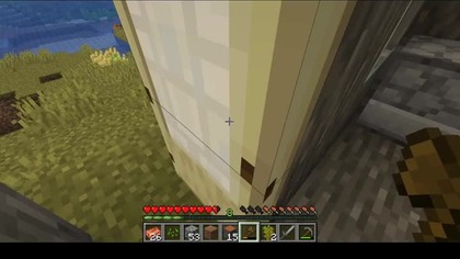 I dont know if this is how the leash is supposed to work #minecraft #bruh #game #games