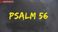 PLASTER MIODU  Psalm 56  Po co sa łzy