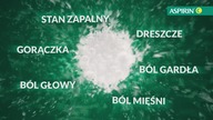 Ona to on (2006)