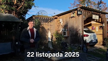 Kurczaki w listopadzie * 22. 11. 2025