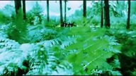 BUNKIER SS CAŁY FILM