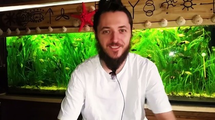 2316.  To Dotyczy Prawie Wszystkich & Jak Zrobić Naturalny Proszek/Pastę Do Prania REUP