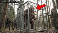 30 Najbardziej Przekonujących Spotkań z Bigfootem Uchwyconych na Kamerze