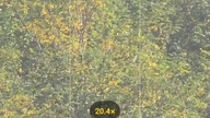 Best zoom ever #samsung24ultra #android #zoom #ultrazoom #samsung #samsungs24ultra #smartphone