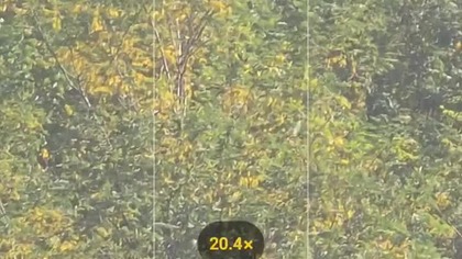 Best zoom ever #samsung24ultra #android #zoom #ultrazoom #samsung #samsungs24ultra #smartphone