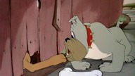 Pluto - Kostka dla dw&oacute;ch