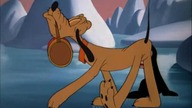 Pluto - Ratownik