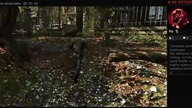 Granie na ps4