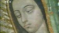 Guadalupe - fragment programu TN 2