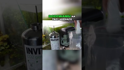 Przestań przepłacać za CO2! 