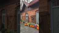 NAJPIĘKNIEJSZA CHLEBOTEKA WE WROCŁAWIU #polecam #chleb #restaurant #restauracja #wrocław #randka