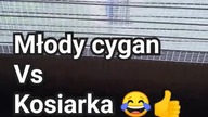 Młody cygan  Kosiarka   