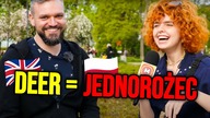 Czy dorośli potrafią rozmawiać po angielsku?
