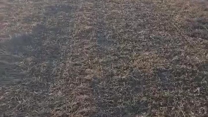 Bieszczadzki Poranek...  :) #biesy #wbiesy #góry #bieszczady #mountain #wgórki #chatka #biesyiczady