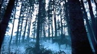 Ginger Fitzgerald X Hunter - Ginger Snaps Back - Total Eclipse Of Of The Heart
