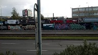 Piękny mural z rekinem wielorybim Poznań dr Piotr Napierała
