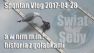 Spontan Vlog 2017-04-28 - Edytor Video, Unboxingi, parodia Kamerowanych, gołębie  | Świat Seby