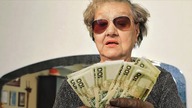 TWOJA BABCIA vs JEGO BABCIA