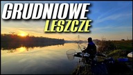 551 LESZCZE W GRUDNIU! DOMOCZONA MIESZANKA I WROCŁAWSKA ODRA.