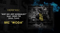 BRZ - Nikt nie jest normalny feat  JANO PW