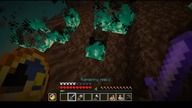 I think the wolf has had enough of the Nether #game #minecraft #gaming #Short #Shorts