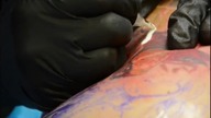 BORIS TATTOO BONUS E05