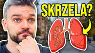 Jak słabo Polacy znają biologię?