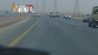 Arabusy na drodze