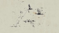 MaJLo - Apprehension (Acoustic)