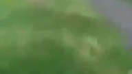 Piotruś Mordeczka kandydatem do nagrody Darwina...