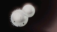 Velocity Garden * Pearls