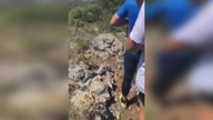 LiveLeak - Snake prank