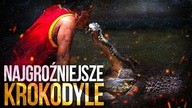 10 NAJWIEKSZYCH KROKODYLI