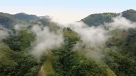 Inside the cocaine-fuelled war of Colombia - Unreported World